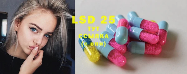 ешки Бородино