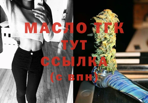 ешки Бородино