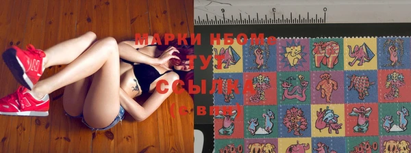 ешки Бородино