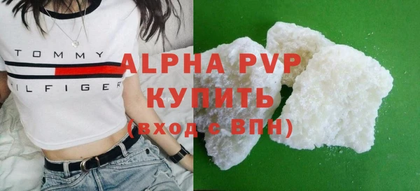 ешки Бородино
