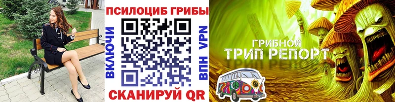 Галлюциногенные грибы Cubensis  Купить  Сатка 